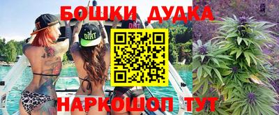 прущие крисы Моздок