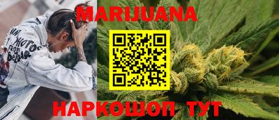 Альфа ПВП Можга