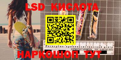 PSILOCYBIN Можайск
