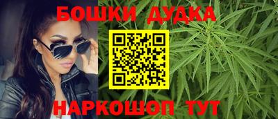 прущие крисы Моздок