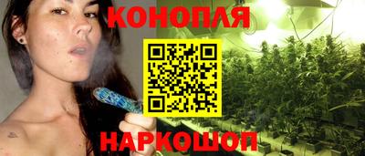 прущие крисы Моздок