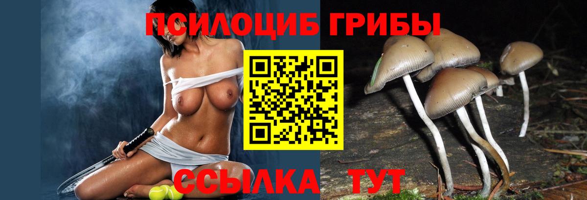 Богданович  закладки  Галлюциногенные грибы прущие грибы  Вход с VPN  Галлюциногенные грибы Psilocybe 